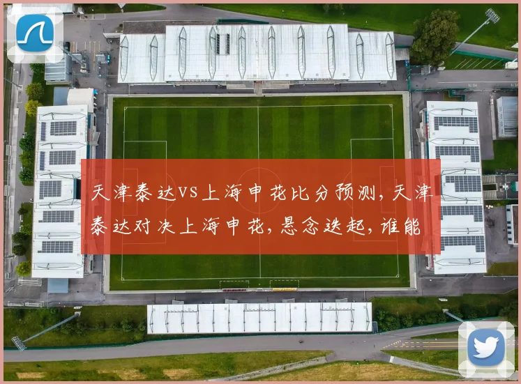 天津泰达vs上海申花比分预测,天津泰达对决上海申花,悬念迭起,谁能问鼎胜利