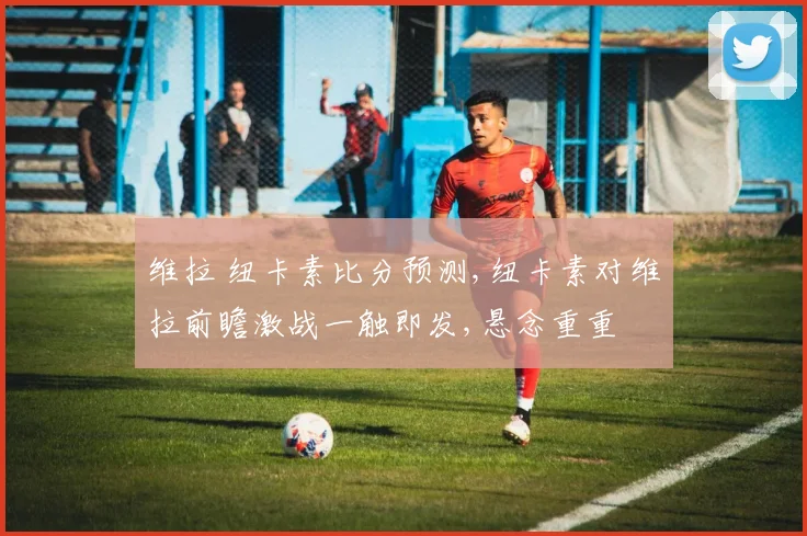 维拉 纽卡素比分预测,纽卡素对维拉前瞻激战一触即发,悬念重重