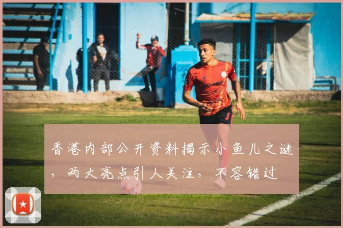 香港内部公开资料揭示小鱼儿之谜，两大亮点引人关注，不容错过